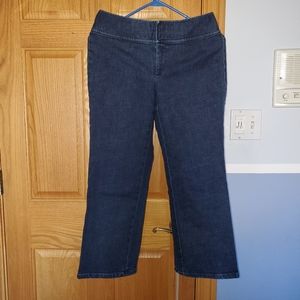 Banana Republic dark-wash Jean Trousers